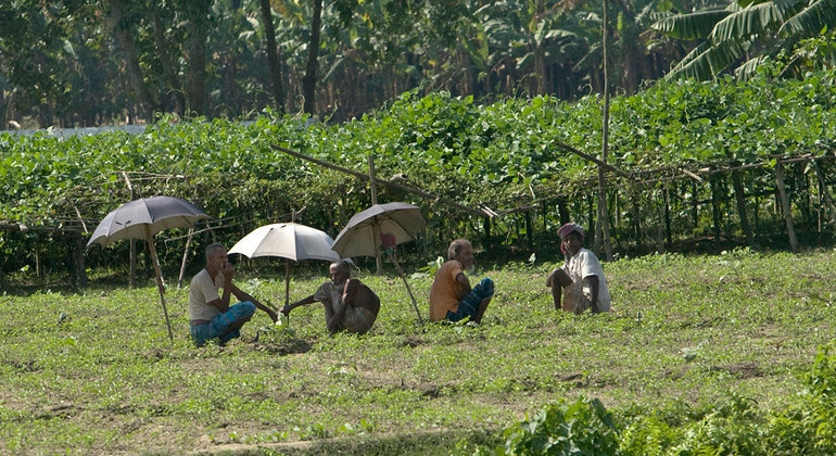 from-the-field:-pioneer-brings-farming-jobs-to-marginalized-bangladesh-communities
