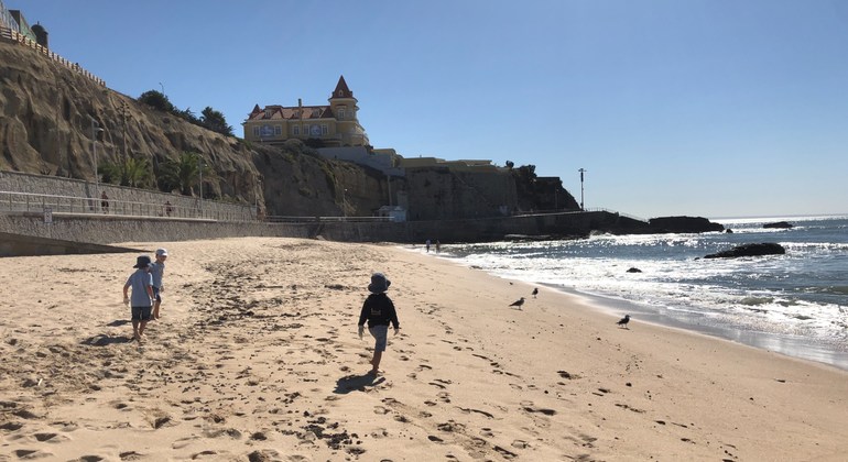 portuguese-beaches-lead-the-way-during un, eu-clean-up-campaign 