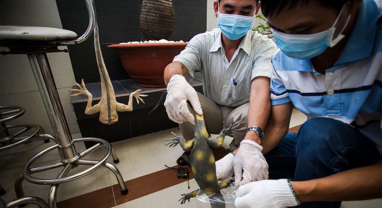 forensic-lab-aids-crack-down-on-illegal-wildlife-trade-in-viet-nam