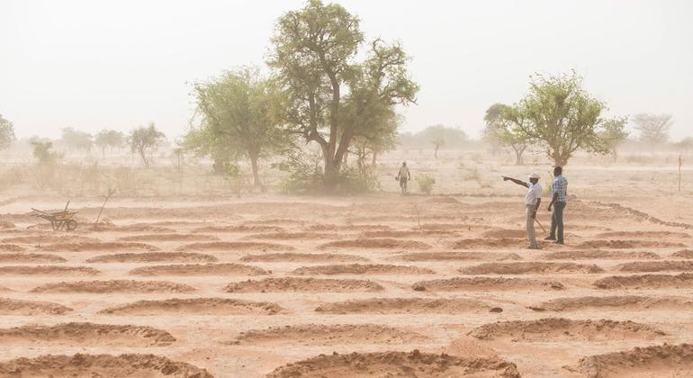 bringing-dry-land-in-the-sahel-back-to-life