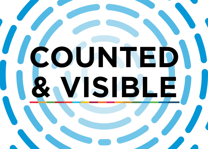 counted-and-visible-toolkit