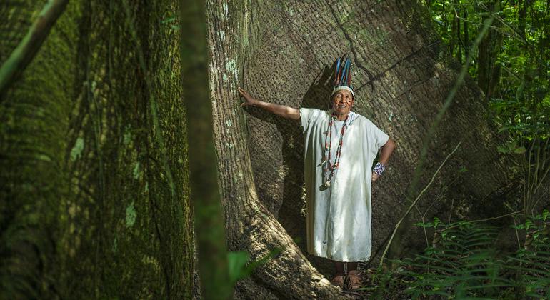 time-for-‘tangible-and-credible’-forest-management,-says-un-chief