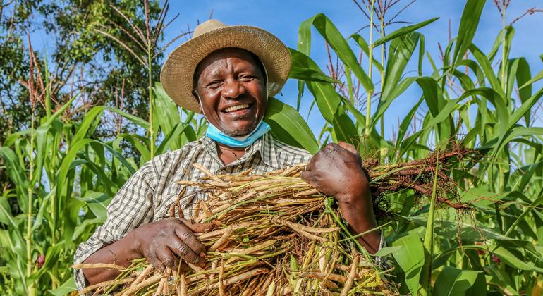 seeds-of-change-in-kenya-as-farmers-lead-way-on-tobacco-free-farms