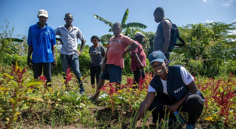 farmers-in-northern-haiti-dig-for-resilience
