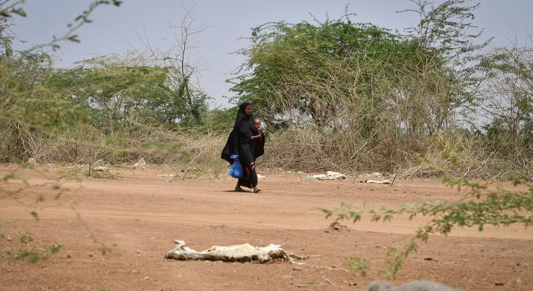 growing-risk-of-somalia-famine,-as-drought-impact-worsens