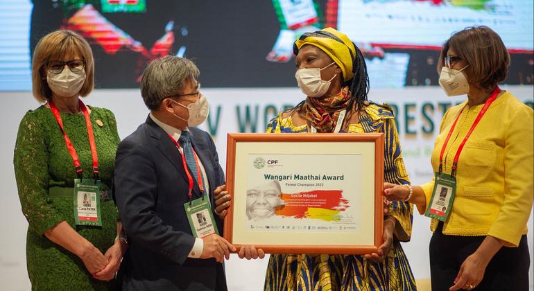 champion-of-women’s-right-to-manage-land-and-forests-wins-top-environment-prize