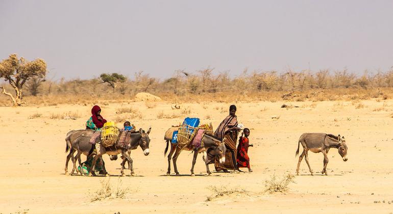 from-the-field:-ethiopia’s-worst-drought-threatens-‘deadly-consequences’-for-women