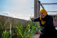 trained-in-agriculture,-women-palestinian-refugees-gain-new-confidence