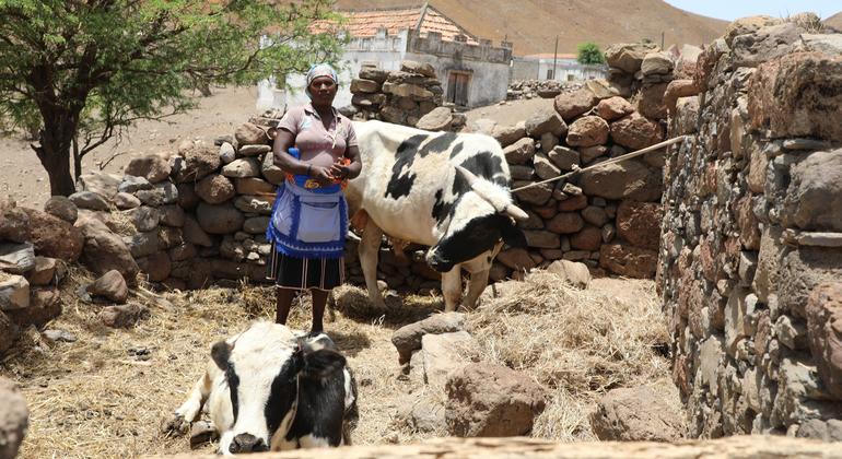 cabo-verde:-‘unprecedented’-food-insecurity-triggers-social-and-economic-emergency