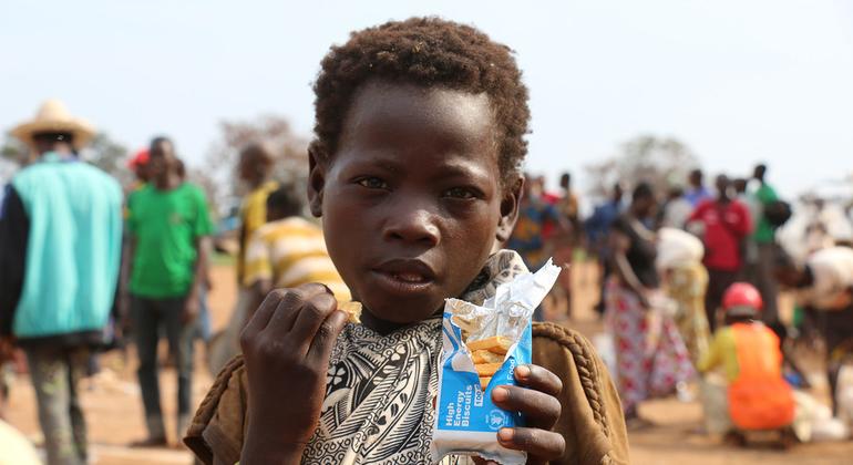 un-needs-$684-million-to-help-central-african-republic-where-2.2-million-are-acutely-food-insecure