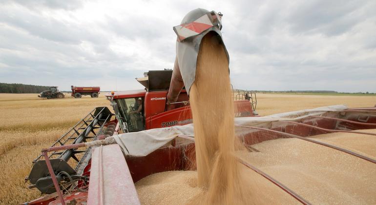 guterres-hails-‘critical-step-forward’-on-resuming-ukraine-grain-exports