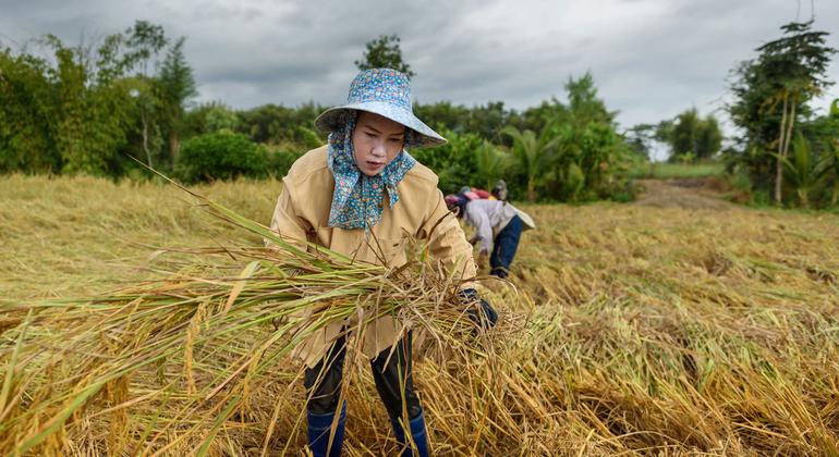 un-and-partners-meet-to-address-‘critical’-state-of-global-food-crisis