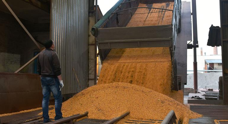 un-welcomes-new-centre-to-put-ukraine-grain-exports-deal-into-motion