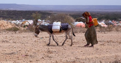 impacts-of-conflict-and-climate-change-fueling-crisis-in-ethiopia