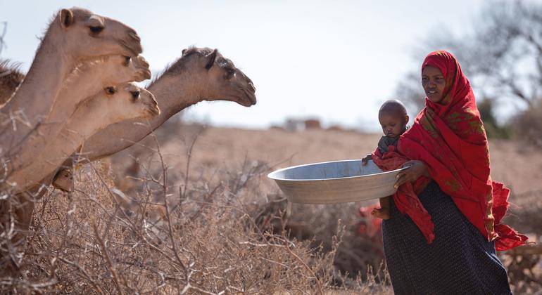 africa-drought:-some-children-just-‘one-disease-away-from-catastrophe’-unicef-warns