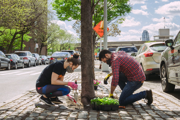 3-ways-planting-trees-helps-to-reduce-the-urban-heat-island-effect