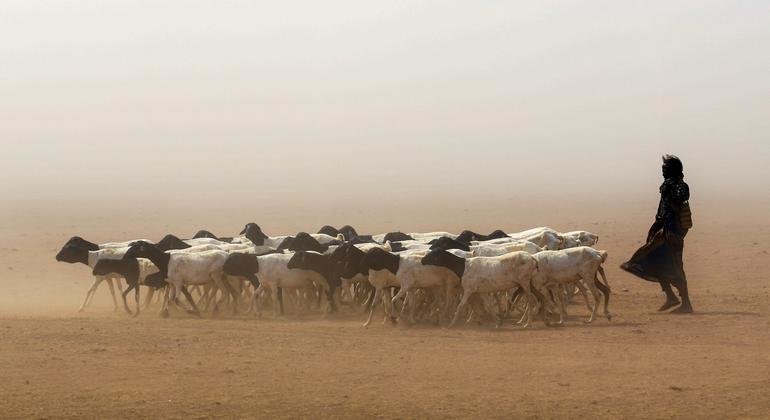 wmo:-greater-horn-of-africa-drought-forecast-to-continue-for-fifth-year 