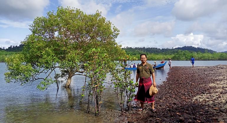 from-the-field:-restoring-myanmar’s-mangroves