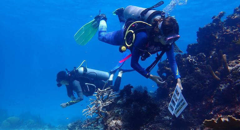 women-lead-marine-restoration-efforts-in-the-unesco-seaflower-biosphere-reserve