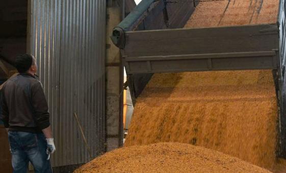 ukraine:-un-led-grain-initiative-helps-anchor-food-supply,-chart-way-out-of-crisis