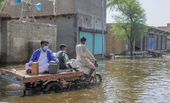 public-health-risks-increasing-in-flood-affected-pakistan,-warns-who