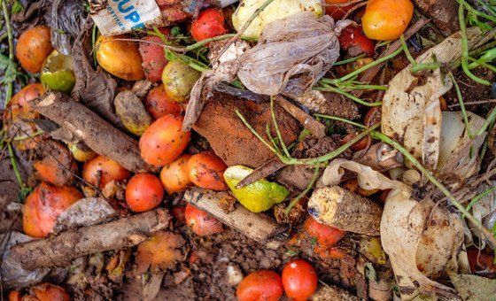 sustainable-food-cold-chains-reduce-waste,-fight-climate-change:-un-report