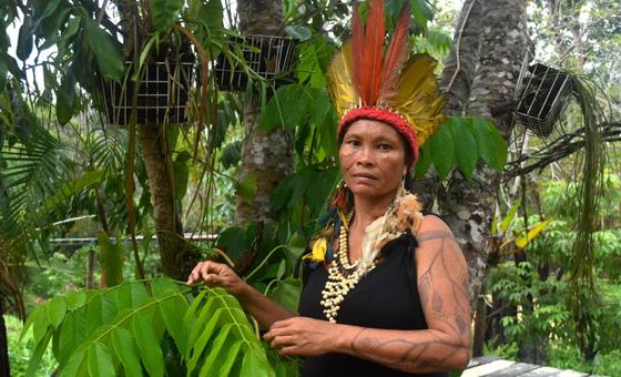 ‘we-are-not-afraid’:-indigenous-brazilian-women-stand-up-to-gender-violence