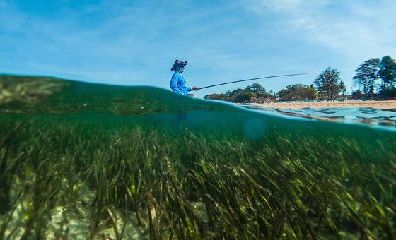 first-ever-world-seagrass-day-focuses-on-conservation