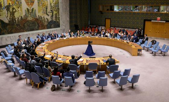 security-council:-despite-progress-on-reforming-global-security,-‘our-work-is-not-done’