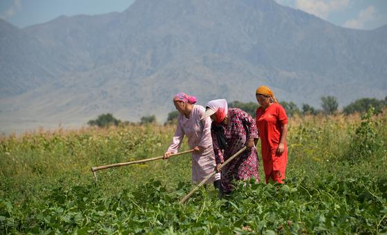 gender-inequalities-in-food-and-agriculture-are-costing-world-$1-trillion:-fao