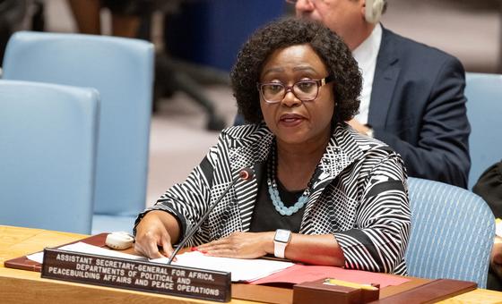 security-situation-in-sahel-remains-very-worrying,-security-council-warned