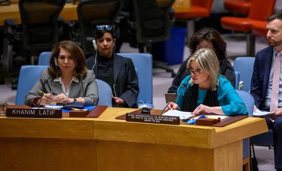 despite-gains,-iraq-has-not-yet-‘turned-the-corner’,-security-council-hears