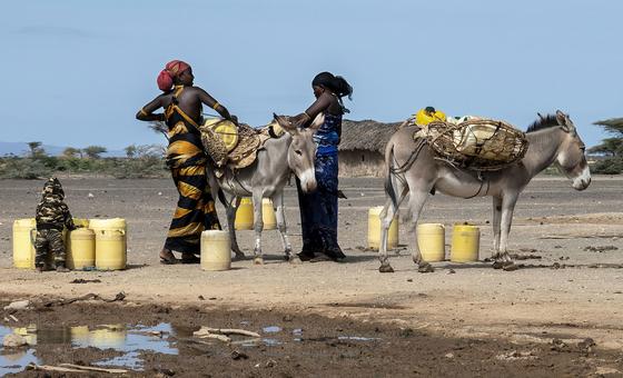 women-suffer-disproportionately-from-ravages-of-drought,-desertification