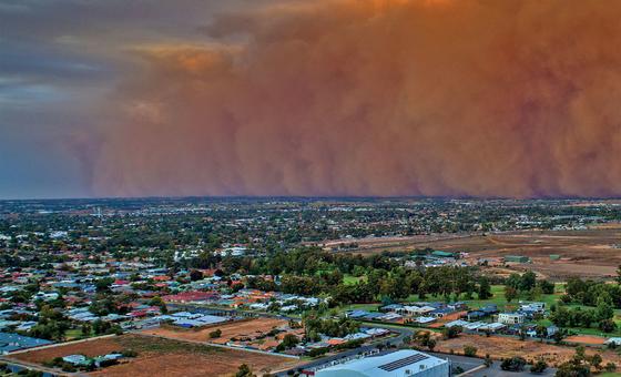 un-issues-global-alert-to-combat-severe-sand-and-dust-storms