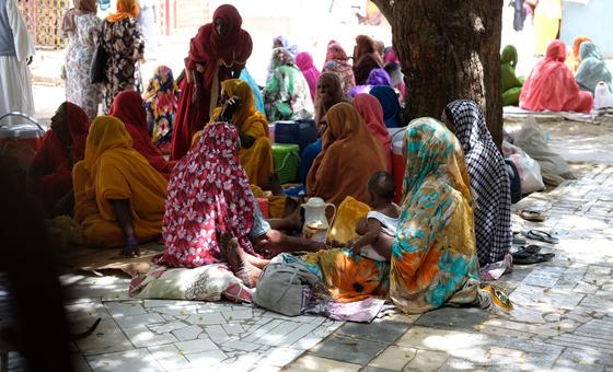 fao-raises-alarm-on-escalating-food-crisis-in-sudan  