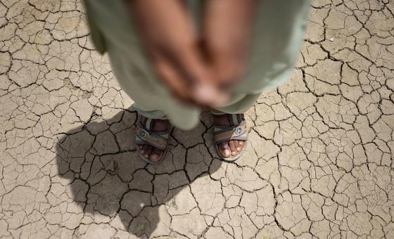 heatwaves-and-high-temperatures-threatening-young-lives-in-south-asia:-unicef