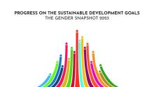 global-gender-equality-in-2023:-urgent-efforts-needed-to-reach-2030-goals