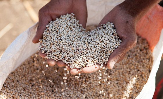 fao-launches-emergency-plan-to-combat-hunger-in-sudan