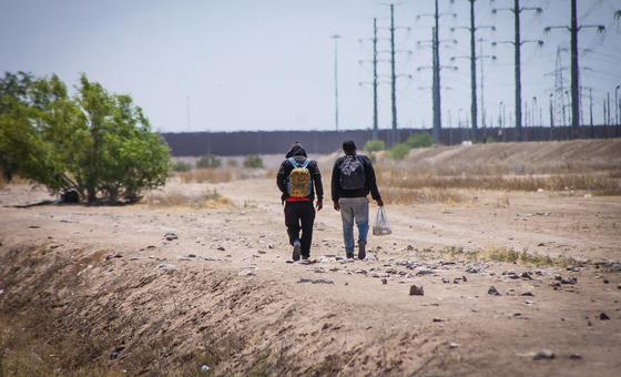 us-mexico-border,-‘world’s-deadliest’-overland-migration-route:-iom