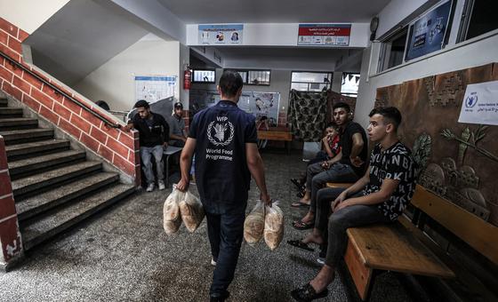 gaza:-nowhere-to-go,-as-humanitarian-situation-reaches-‘lethal-low’