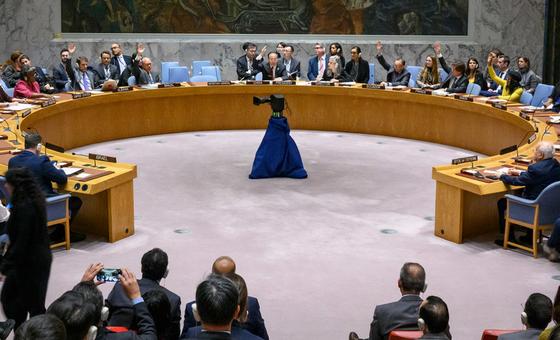updating-live:-security-council-due-to-meet-on-israel-palestine-crisis
