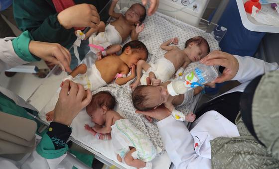 gaza-crisis:-babies-being-born-‘into-hell’-amid-desperate-aid-shortages
