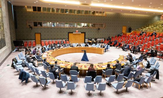 end-the-war-and-recognize-palestine,-security-council-urged