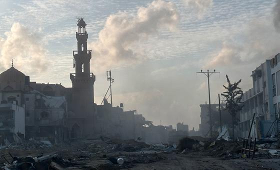 humanitarian-leaders-unite-in-urgent-plea-for-gaza