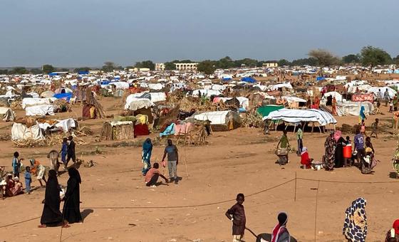 world-news-in-brief:-another-month-of-extreme-heat,-sudan-exodus-continues-into-chad,-zero-discrimination-day