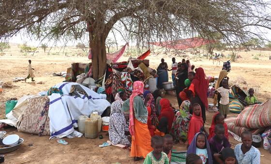 11-months-into-sudan-war,-‘world’s-worst-hunger-crisis’-looms