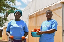women-farmers-in-malawi-tackle-climate-change-and-gender-inequalities-through-greenhouse-programme 