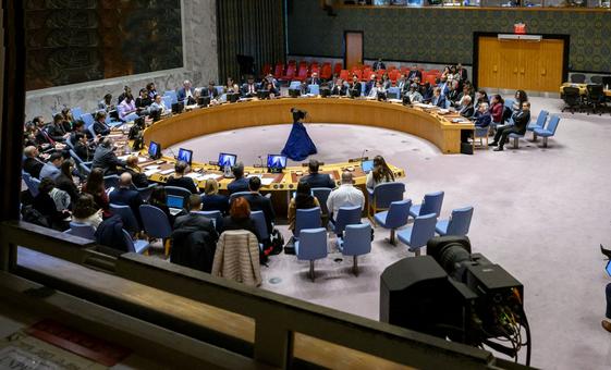 updating-live:-security-council-briefing-on-sexual-violence-in-israel,-gaza-and-west-bank