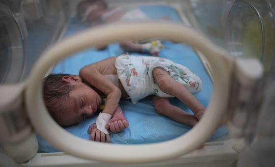 gaza:-increasing-numbers-of-newborns-on-brink-of-death,-agencies-warn