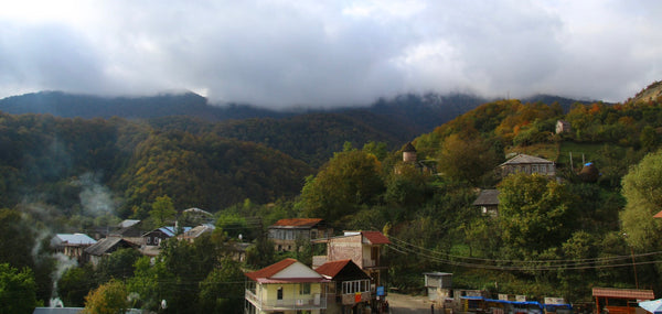 planting-trees-and-growing-community-in-armenia